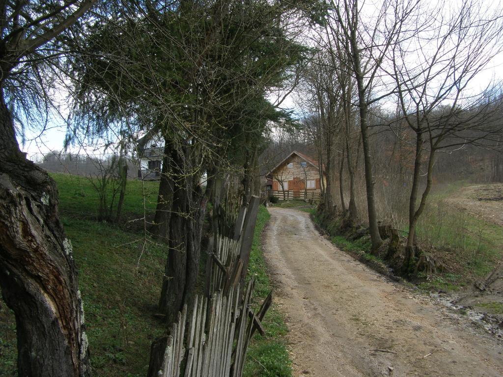Guesthouse Kuzmanovic Guca Exterior photo