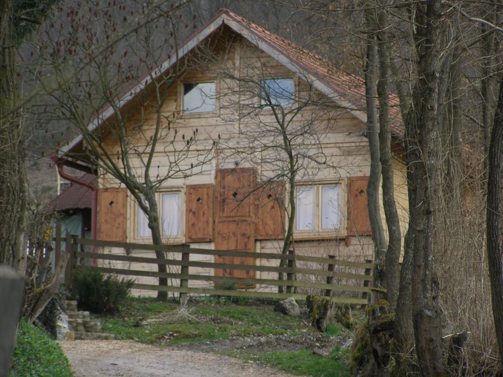 Guesthouse Kuzmanovic Guca Exterior photo