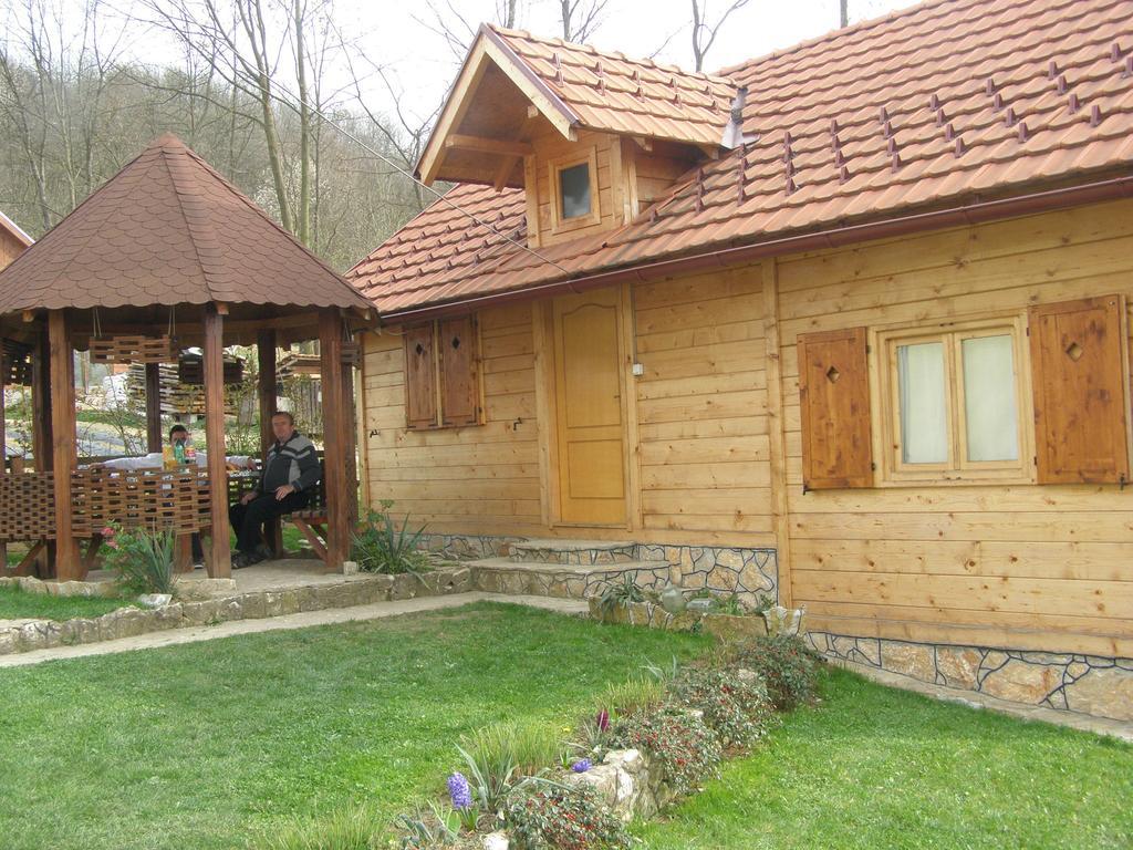 Guesthouse Kuzmanovic Guca Exterior photo