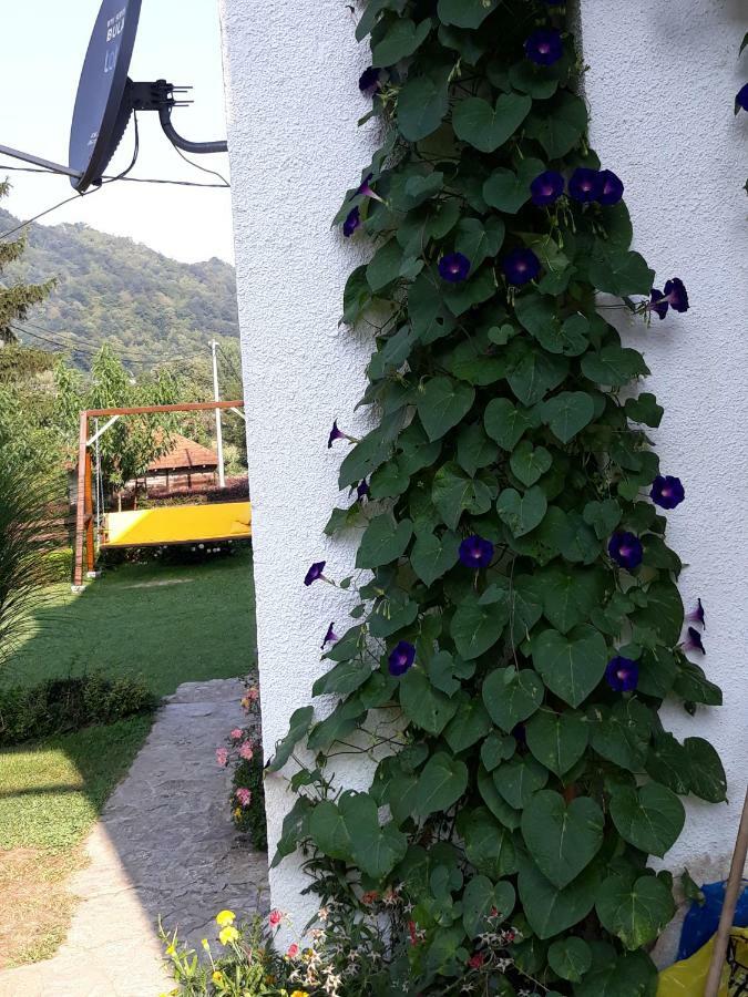 Guesthouse Kuzmanovic Guca Exterior photo