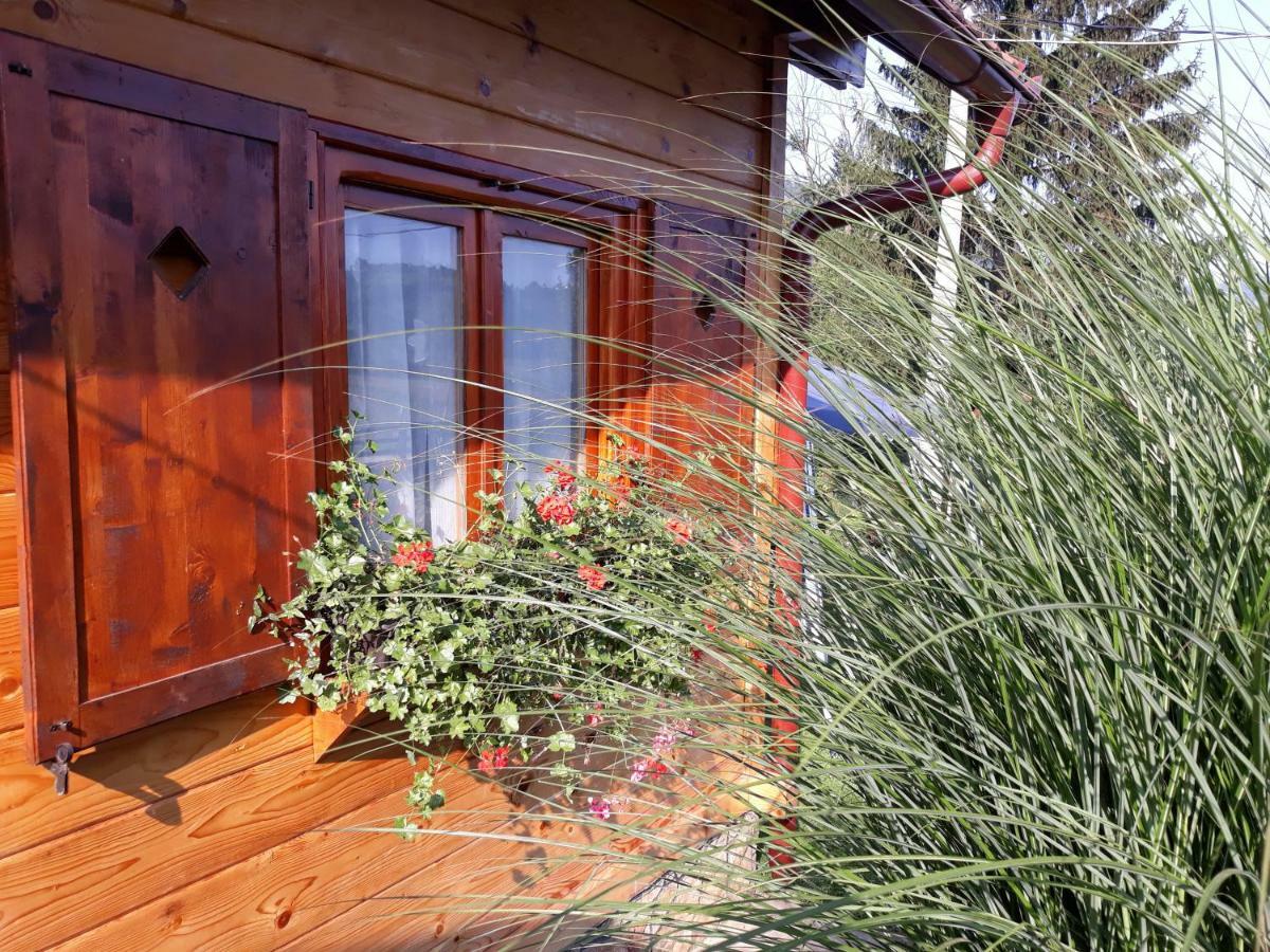 Guesthouse Kuzmanovic Guca Exterior photo