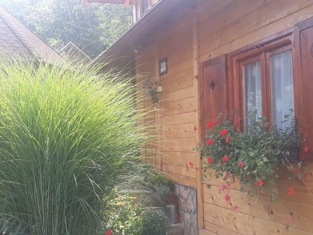 Guesthouse Kuzmanovic Guca Exterior photo